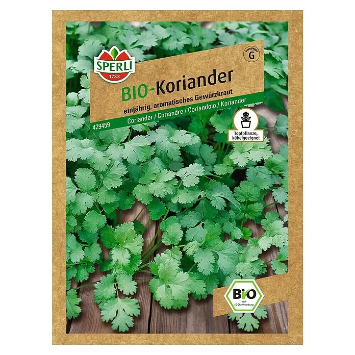 Sperli Kräutersamen Bio Koriander - Coriandrum sativum, Saatzeit: April, Erntezeit: Juni - Vorderansicht