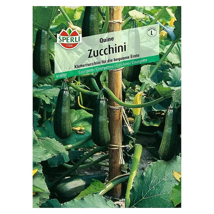 Sperli Gemüsesamen Zucchini - Quine, Cucurbita pepo, Erntezeit: Juni - Vorderansicht