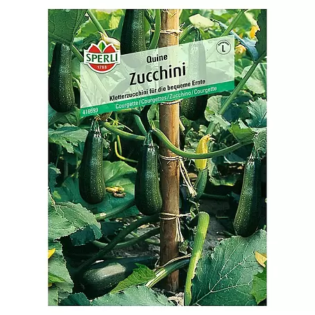 Sperli  Gemüsesamen Zucchini