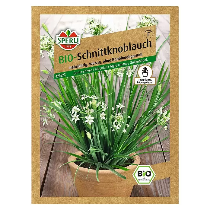 Sperli Kräutersamen Bio Schnittknoblauch - Allium tuberosum, Saatzeit: April, Erntezeit: Ganzjährig - Vorderansicht