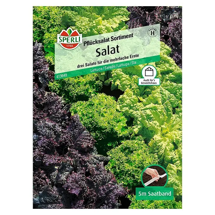 Sperli Salatsamen Pflücksalat - Sortiment Grand Rapi, Lactuca sativa, Erntezeit: Ganzjährig - Vorderansicht