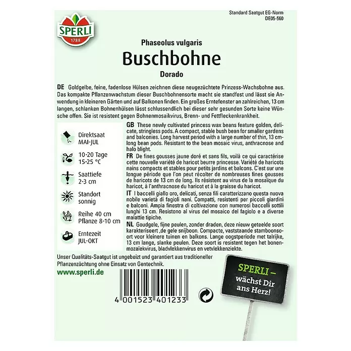 Sperli Gemüsesamen Buschbohne - Dorado, Phaseolus vulgaris var. nanus, Erntezeit: Juli - Rückansicht