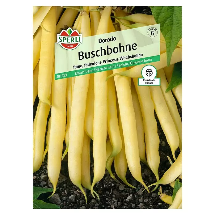 Sperli Gemüsesamen Buschbohne - Dorado, Phaseolus vulgaris var. nanus, Erntezeit: Juli - Vorderansicht
