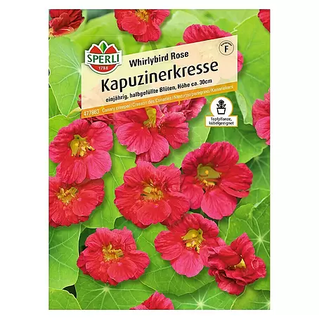 Sperli  Kräutersamen Kapuzinerkresse