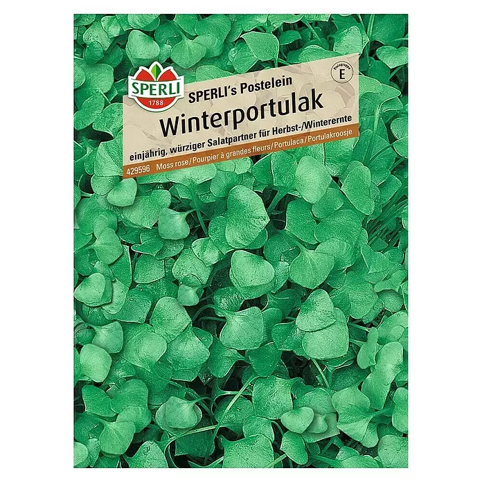 Sperli Gemüsesamen Winterportulak - Montia perfoliata, Erntezeit: März - Vorderansicht