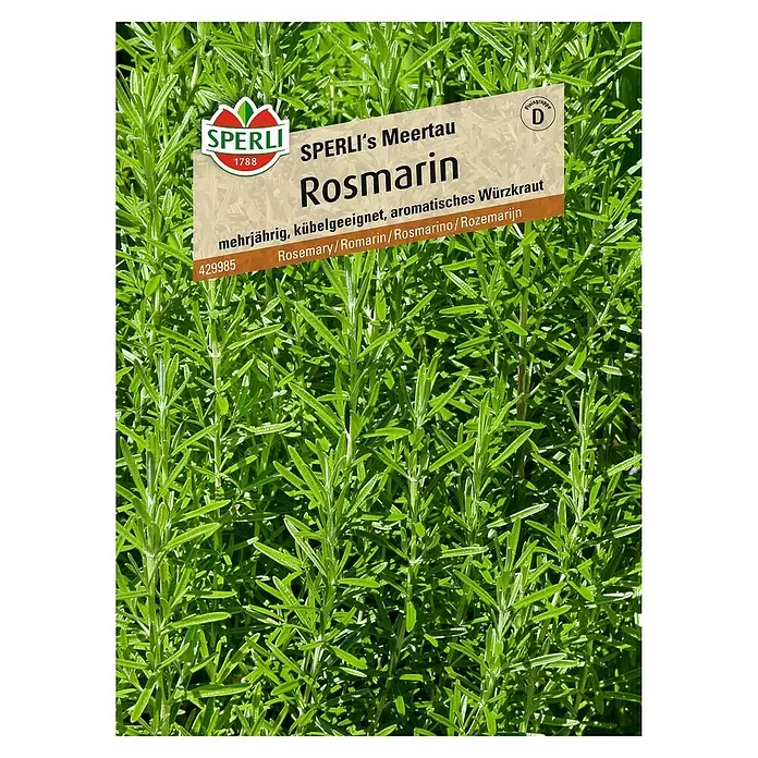 Sperli Kräutersamen Rosmarin Sperli's Meertau - Rosmarinus officinalis, Saatzeit: Mai, Erntezeit: Mai - Vorderansicht
