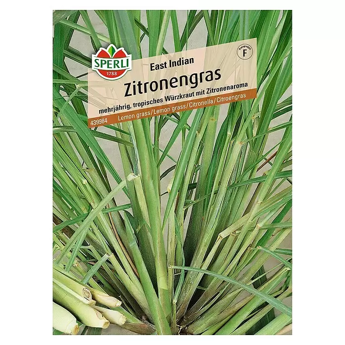 Sperli Kräutersamen Zitronengras - Cymbopogon flexuosus, Erntezeit: Ganzjährig - Vorderansicht