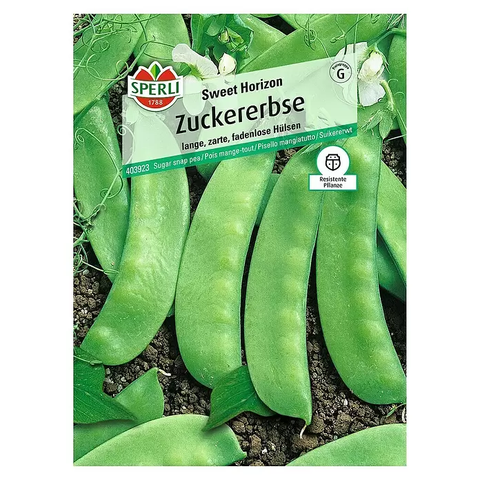 Sperli Gemüsesamen Zuckererbse - Pisum sativum, Erntezeit: Juni - Vorderansicht