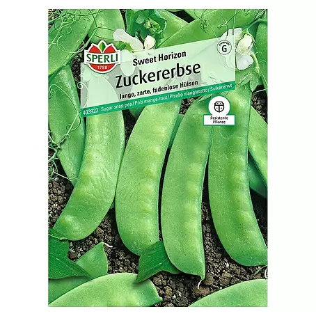 Sperli  Gemüsesamen Zuckererbse