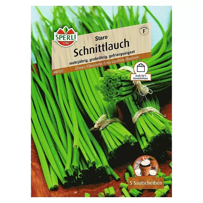 Sperli Kräutersamen Schnittlauch - Staro, Allium schoenoprasum, Saatzeit: April, Erntezeit: Ganzjährig - Vorderansicht
