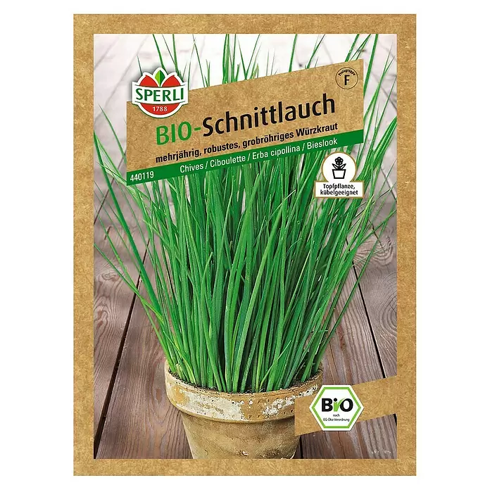 Sperli Kräutersamen Schnittlauch - Bio, Allium schoenoprasum, Saatzeit: April, Erntezeit: Ganzjährig - Vorderansicht