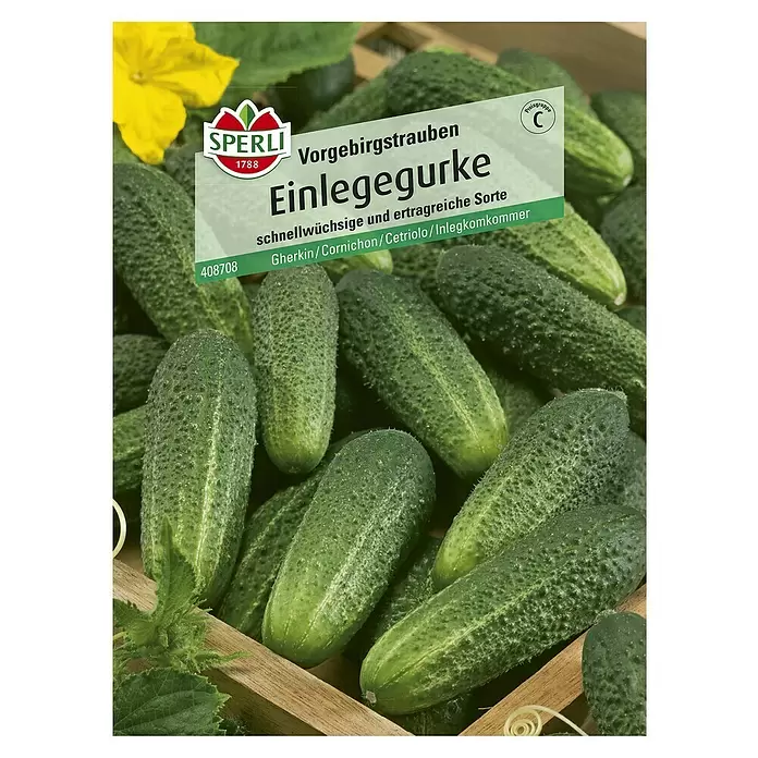 Sperli Gemüsesamen Einlegegurke - Vorgebirgstraube, Cucumis sativus, Erntezeit: Juli - Vorderansicht