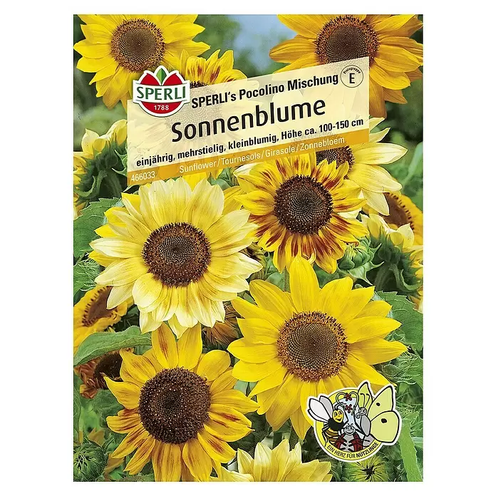 Sperli Blumensamen Sonnenblume - Picolinomix, Blütezeit: Juli - Draufsicht