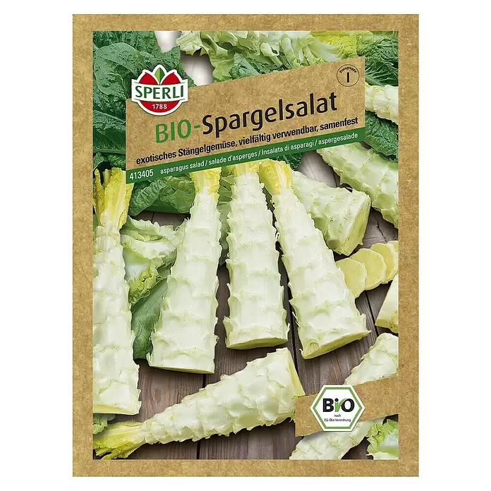 Sperli Salatsamen Bio Salat 'Chinesische Keule' - Lactuca sativa, Erntezeit: Juni - Vorderansicht