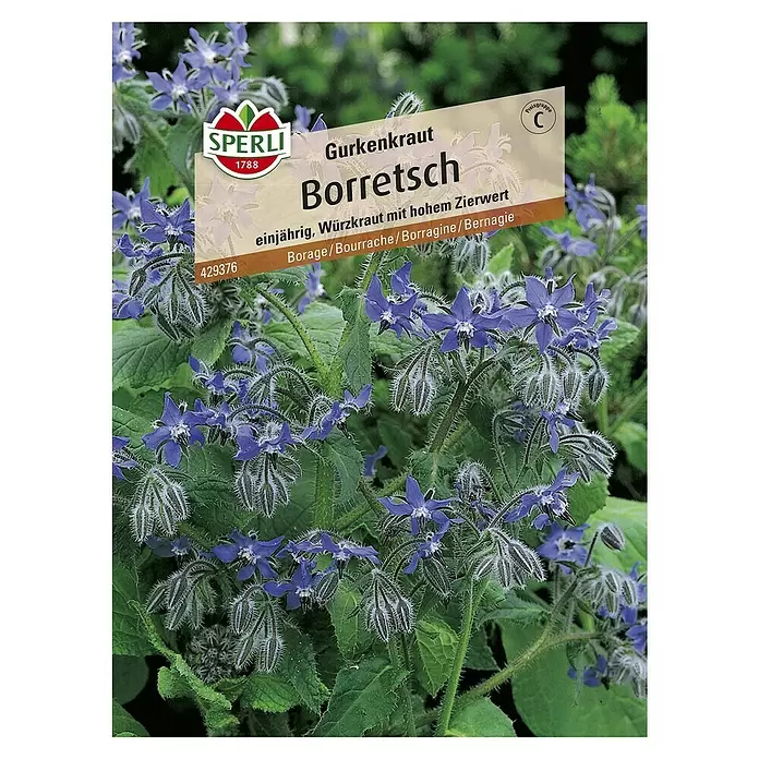 Sperli Gemüsesamen Boretsch - Borago officinalis, Erntezeit: Mai - Vorderansicht
