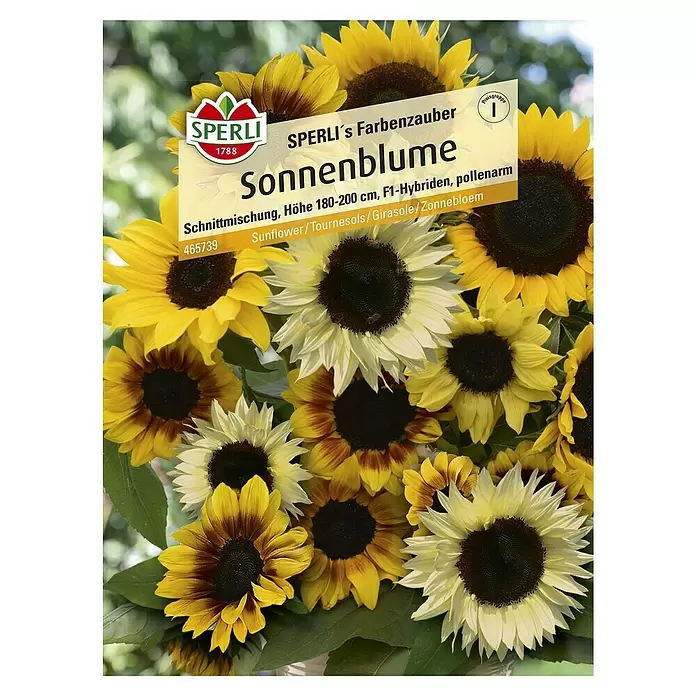 Sperli Blumensamen Sonnenblume - Farbenzauber, Helianthus annuus - Vorderansicht