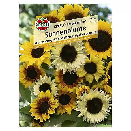 Sperli  Blumensamen Sonnenblume