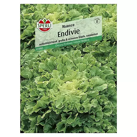 Sperli  Salatsamen Endivie
