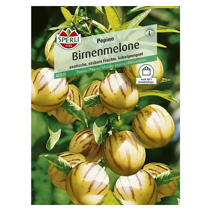 Sperli Obstsamen Birnenmelone - Erntezeit: August - Vorderansicht