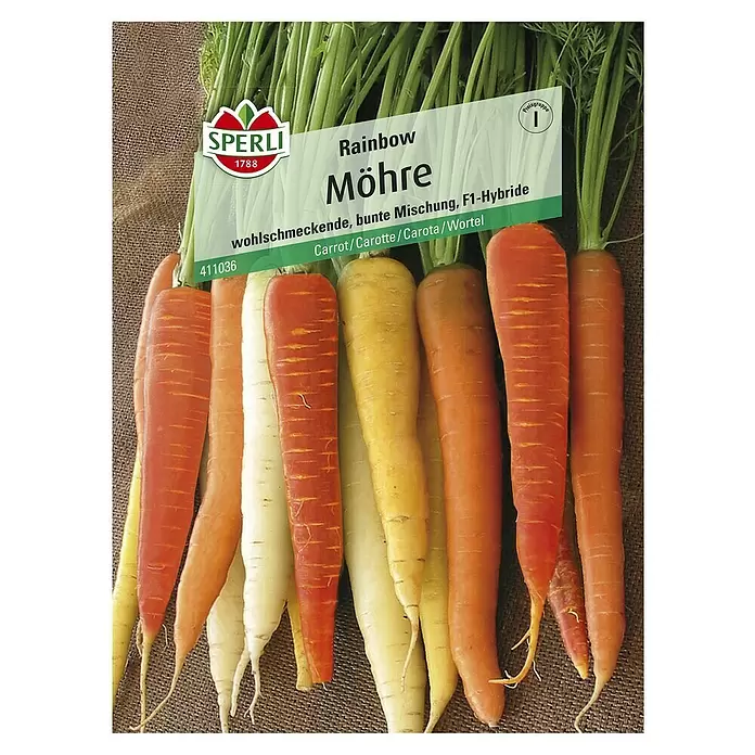 Sperli Gemüsesamen Möhre - Rainbow, Daucus carota, Erntezeit: Mai - Vorderansicht