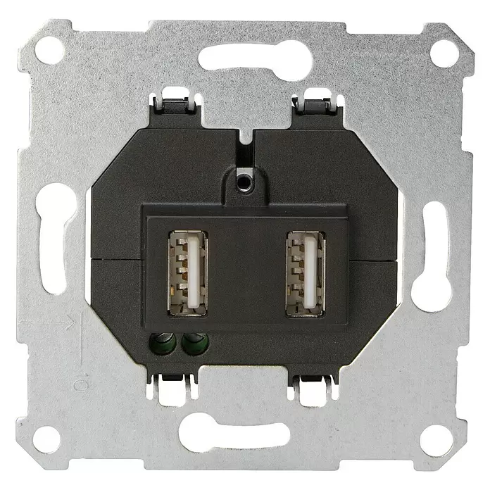 Kopp Technik-Center Stopcontactinzet met USB 2-voudig - 2 voudig, Kunststof, IP20 - Vooraanzicht