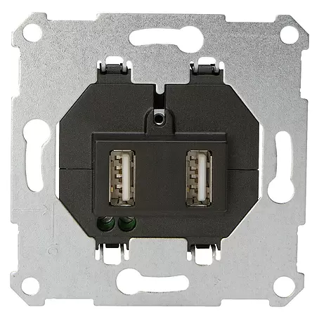 Kopp Technik-Center Stopcontactinzet met USB 2-voudig