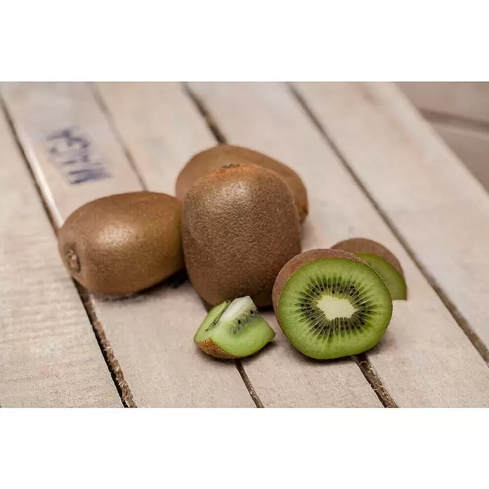 Piardino Kiwi - Actinidia chinensis, Tamaño de maceta: 15 cm - Foto ambiente