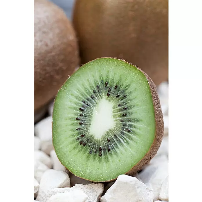 Piardino Kiwi - Actinidia chinensis, Tamaño de maceta: 15 cm - Foto ambiente