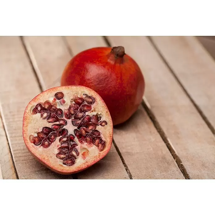 Granado - Punica granatum, Tamaño de maceta: 20 cm - Foto ambiente