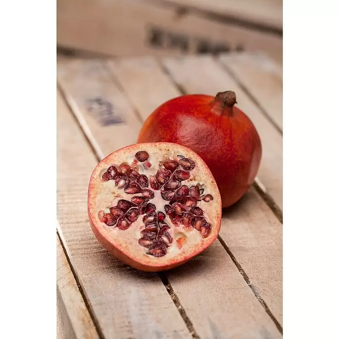 Granado - Punica granatum, Tamaño de maceta: 20 cm - Foto ambiente