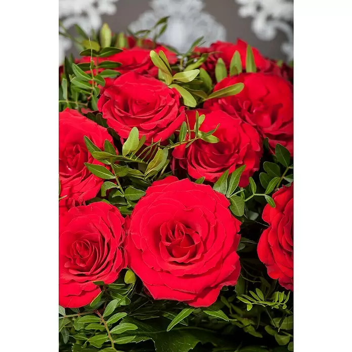 Piardino Topfrose - Rosa Hybride, Rot - Detailaufnahme