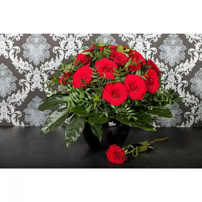 Piardino Topfrose - Rosa Hybride, Rot - Stimmungsaufnahme