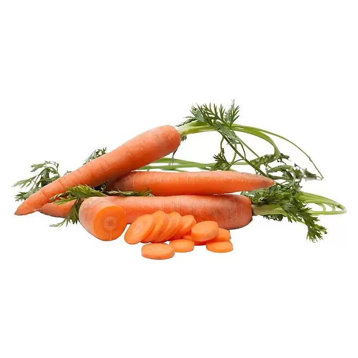 Piardino Karotte - Daucus carota var. sativus - Vorderansicht