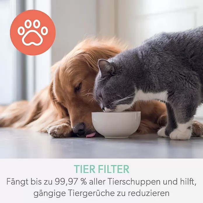 Leitz TruSens Aktivkohlefilter Haustier - Passend für: TruSens Luftreiniger Z-3000/Z-3500, Höhe: 21,6 cm - Anwendungsbeispiel