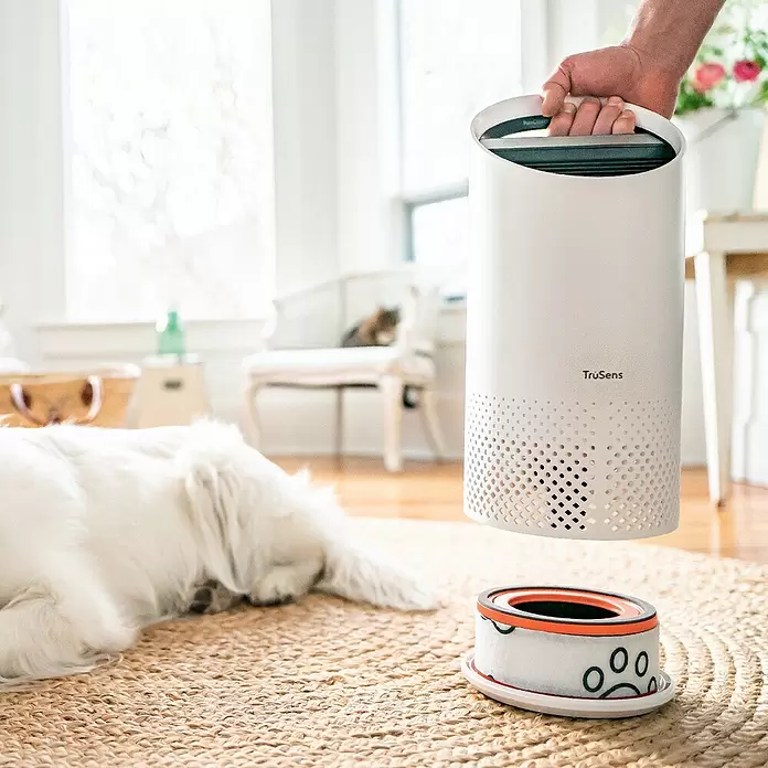 Leitz TruSens HEPA-Filter Haustier - Passend für: TruSens Luftreiniger Z-1000 - Stimmungsaufnahme
