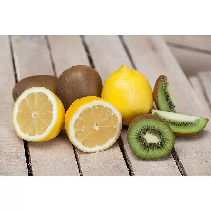 Piardino Kiwi - Actinidia chinensis, Tamaño de maceta: 15 cm - Foto ambiente