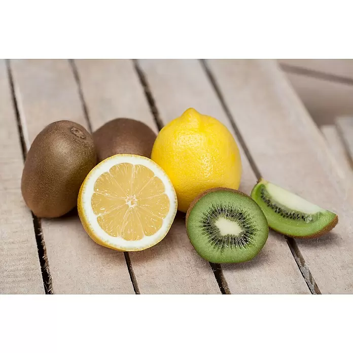 Piardino Kiwi - Actinidia chinensis, Tamaño de maceta: 15 cm - Foto ambiente