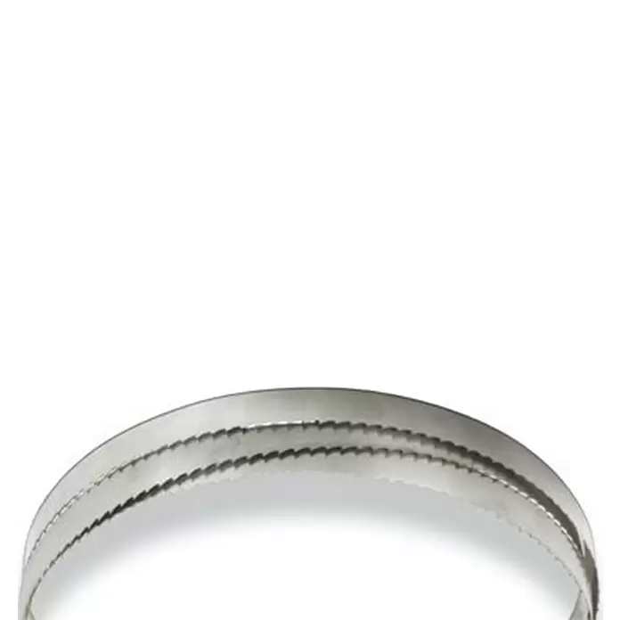 Hoja de sierra de cinta 10-14 ZZ - L x An: 1.638 x 13 mm - Primer plano