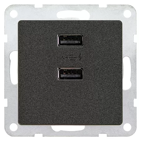 Siemens DELTA Mega Stopcontactinzet met USB