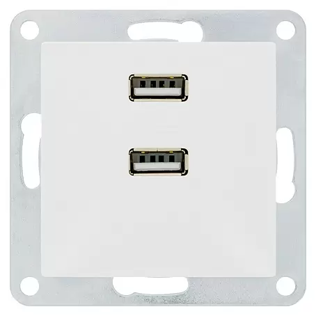 Siemens DELTA Viva Stopcontactinzet met USB