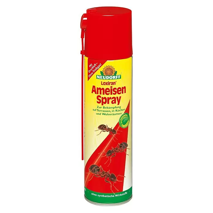 Neudorff Loxiran Ameisenspray - 400 ml - Vorderansicht