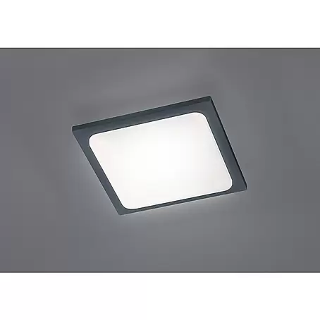Trio Lighting  Plafón LED Trave