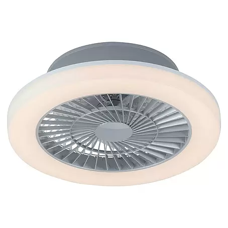 Ventilador de techo Leonard