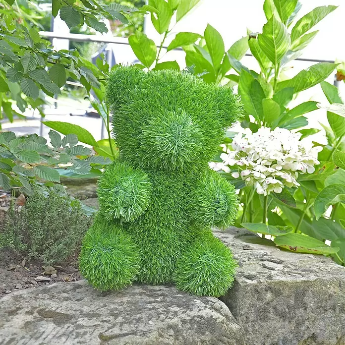 AniPlants Dekofigur - Bär, L x B x H: 23 x 27 x 38 cm, Kunststoff - Stimmungsaufnahme