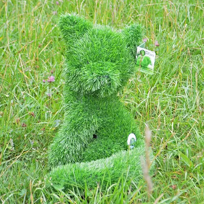 AniPlants Dekofigur - Fuchs, L x B x H: 33 x 30 x 37 cm, Kunststoff - Stimmungsaufnahme