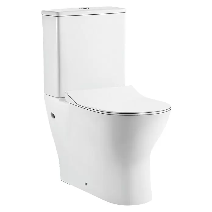 Pack WC de pie sin borde Delaware - Sin borde de descarga, Salida dual, Blanco - Vista angular