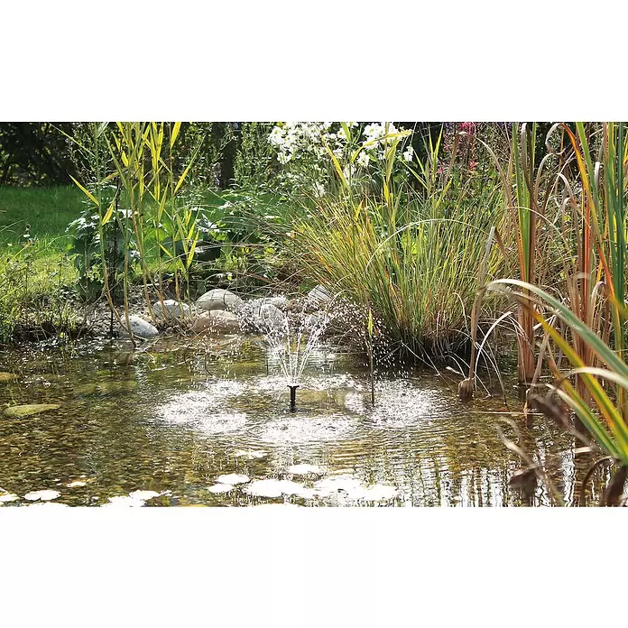 Neptun Solar-Wasserspielpumpe NSTP-O 250 CONTROL - Fördermenge pro Std.: 250 l - Stimmungsaufnahme