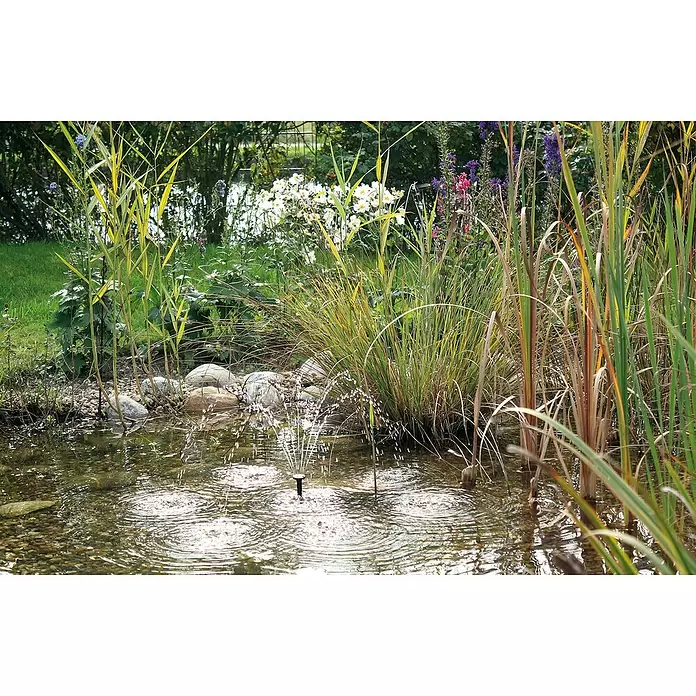 Neptun Solar-Wasserspielpumpe NSTP-O 250 CONTROL - Fördermenge pro Std.: 250 l - Stimmungsaufnahme