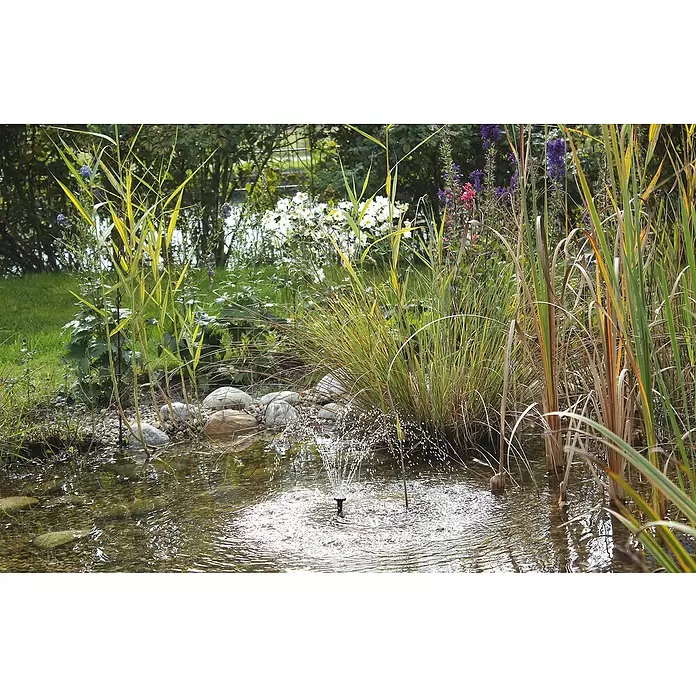 Neptun Solar-Wasserspielpumpe NSTP-O 250 CONTROL - Fördermenge pro Std.: 250 l - Stimmungsaufnahme