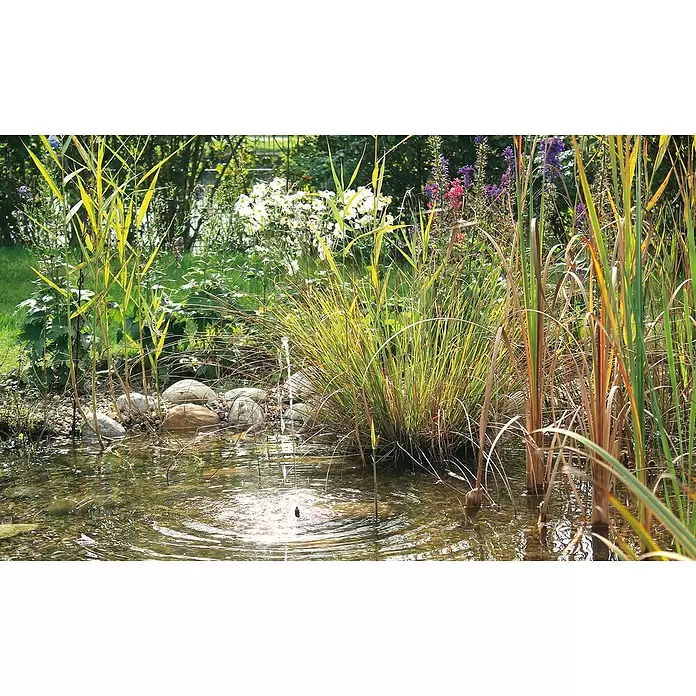 Neptun Solar-Wasserspielpumpe NSTP-O 250 CONTROL - Fördermenge pro Std.: 250 l - Stimmungsaufnahme